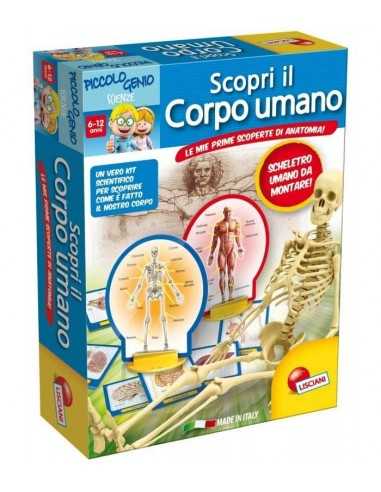 kit scientifico scopri il corpo umano - BIM0003433 | Futurartb2b Ingrosso Giocattoli