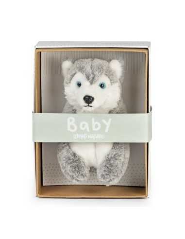 Peluche in scatola Baby Hasky 17cm - KEYAN753 | Futurartb2b Ingrosso Giocattoli