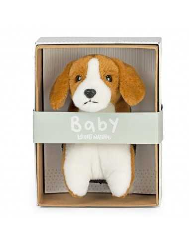 Peluche in scatola Baby Beagle cane 17cm - KEYAN755 | Futurartb2b Ingrosso Giocattoli