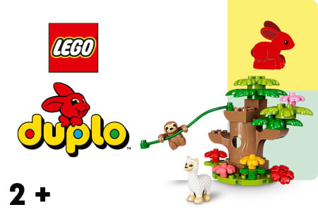 Lego Duplo